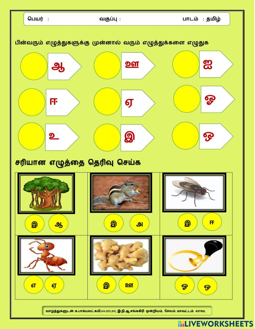 தமிழ் தமிழ்