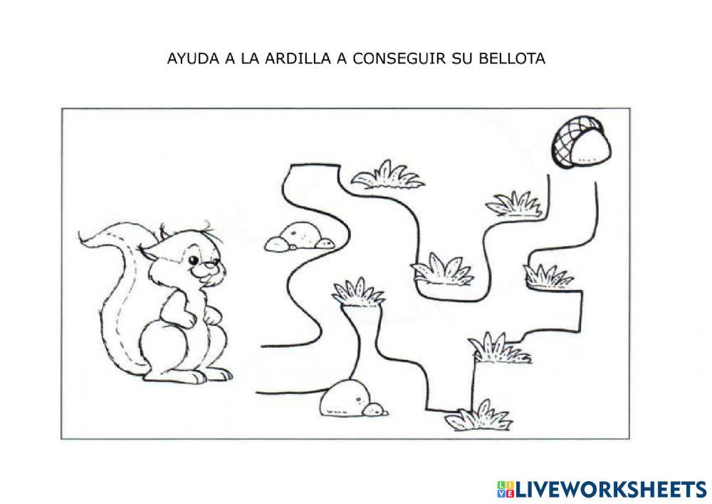 Laberinto ardilla