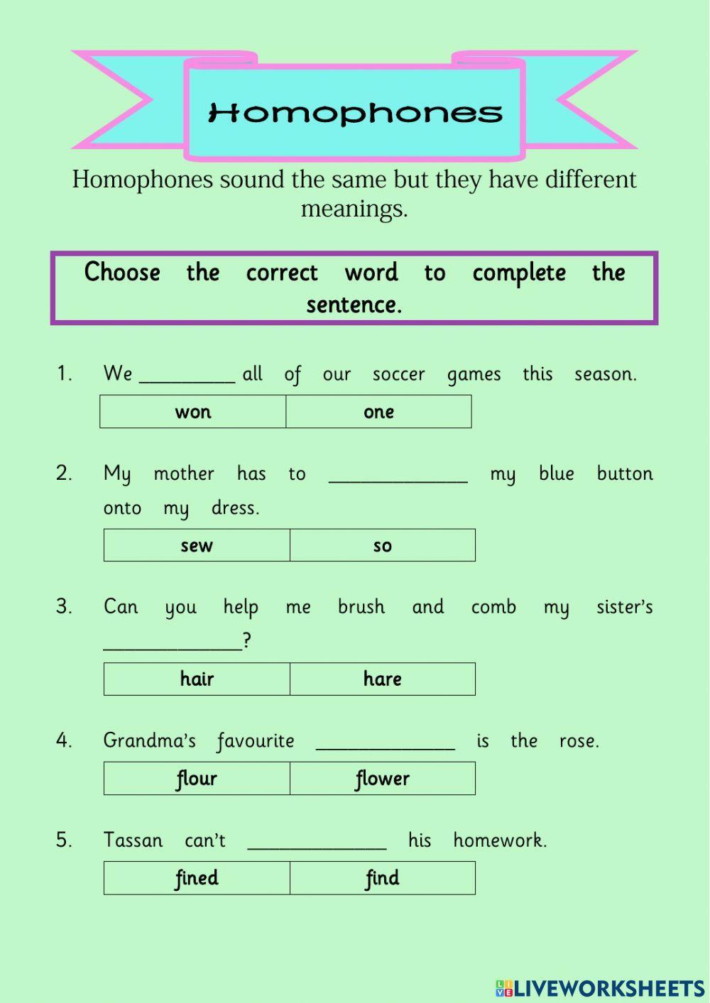 Homophone Worksheet 02