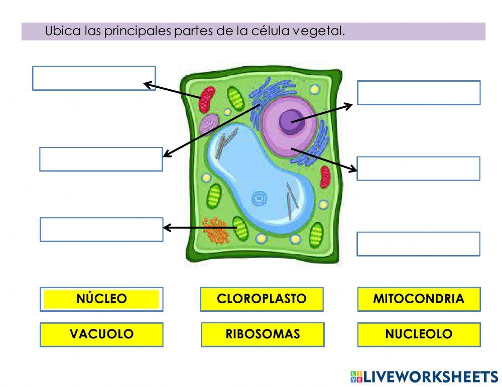 Biologia