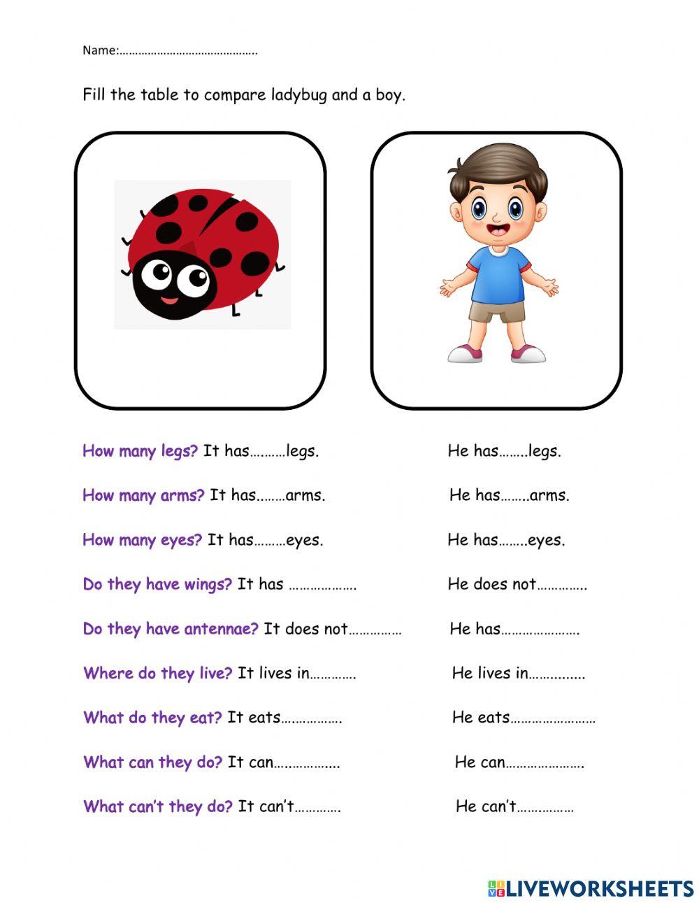 Compare lady bug to a boy