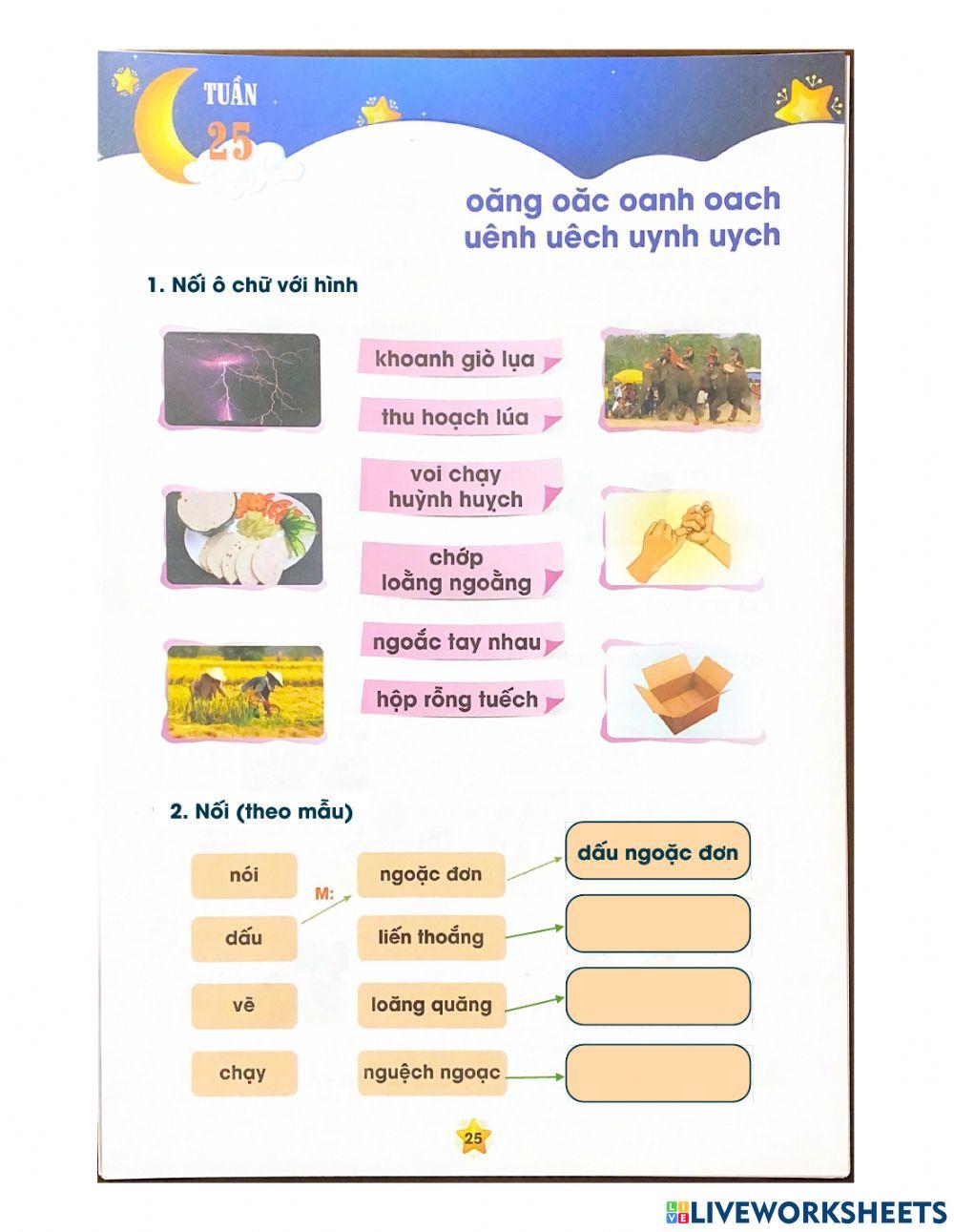 Tiếng Việt - Tuần 25