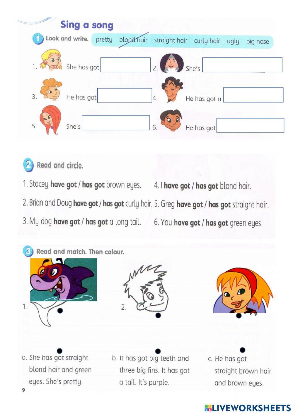 English year 3 welcome