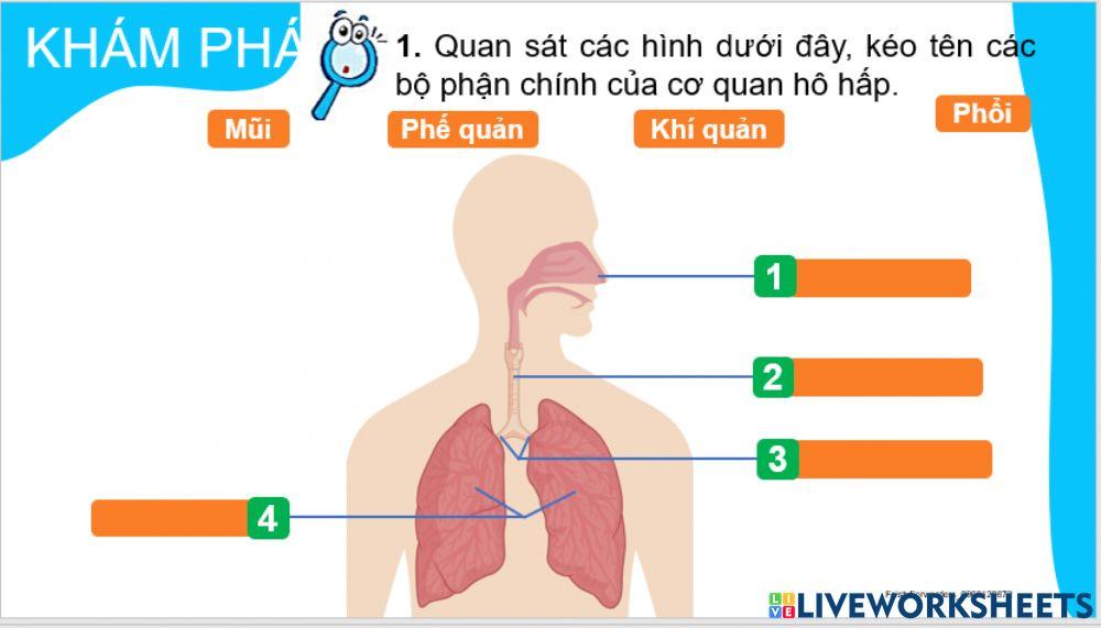 Tự nhiên và xã hội