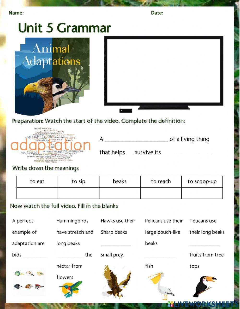 Animal & Plant Adaptations