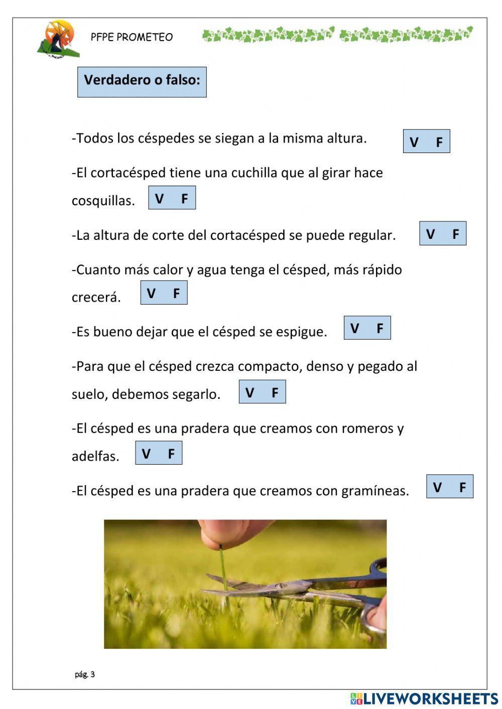 Labores de mantenimiento del césped 1: Siega