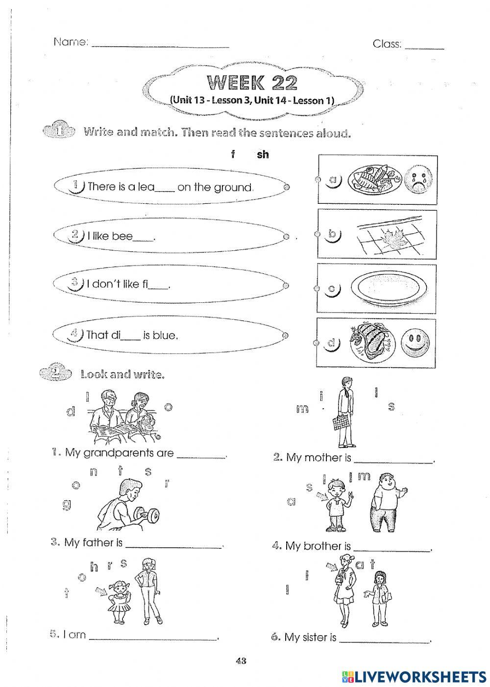 Unit 14:What does he look like?