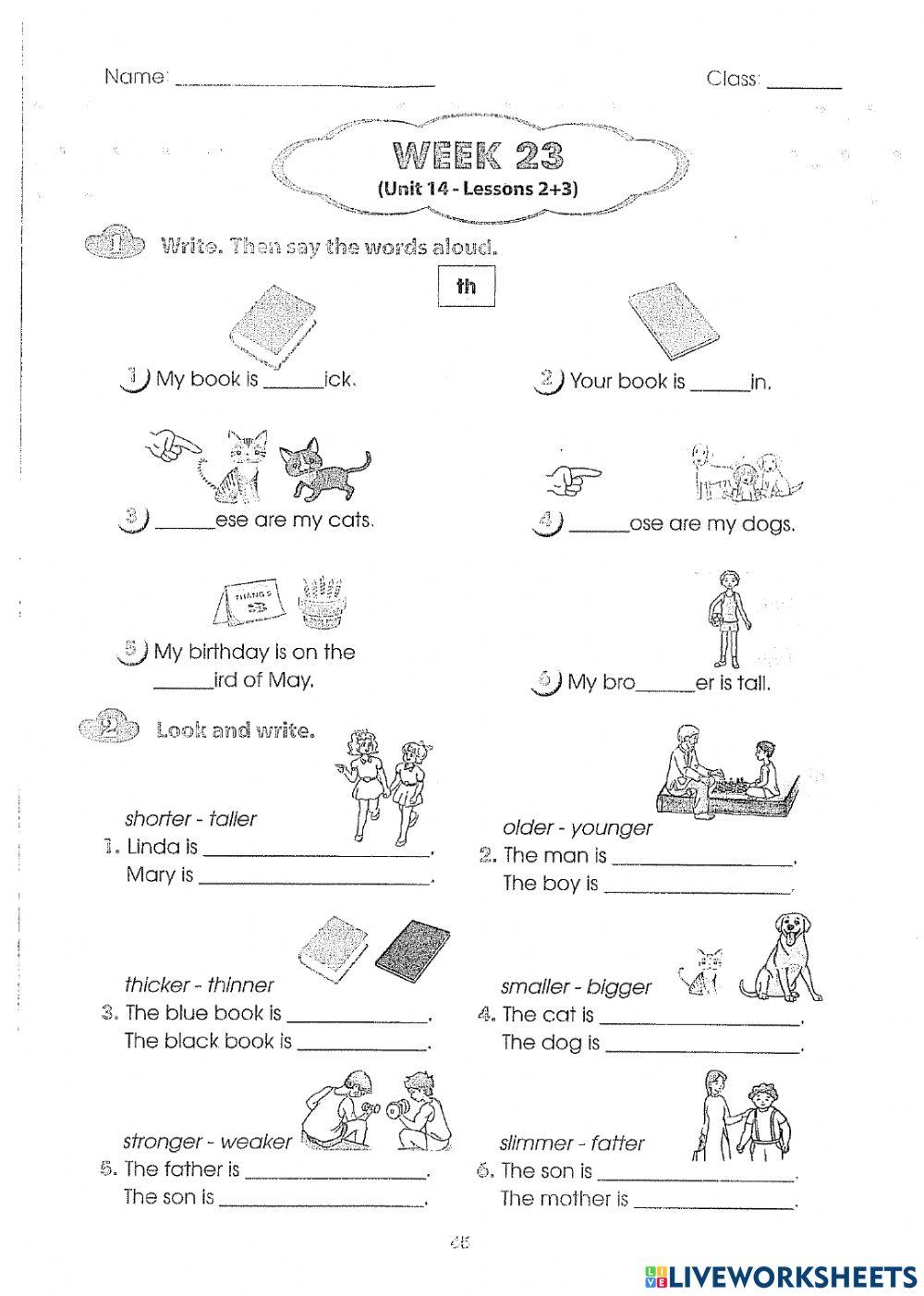 Unit 14:What does he look like?