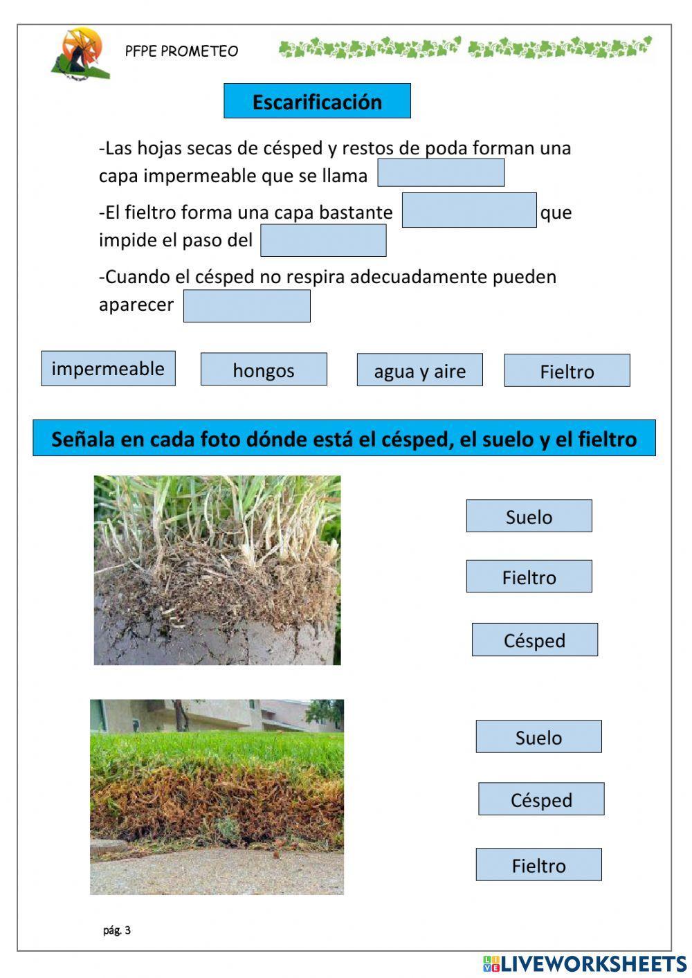 Labores de mantenimiento del césped 2
