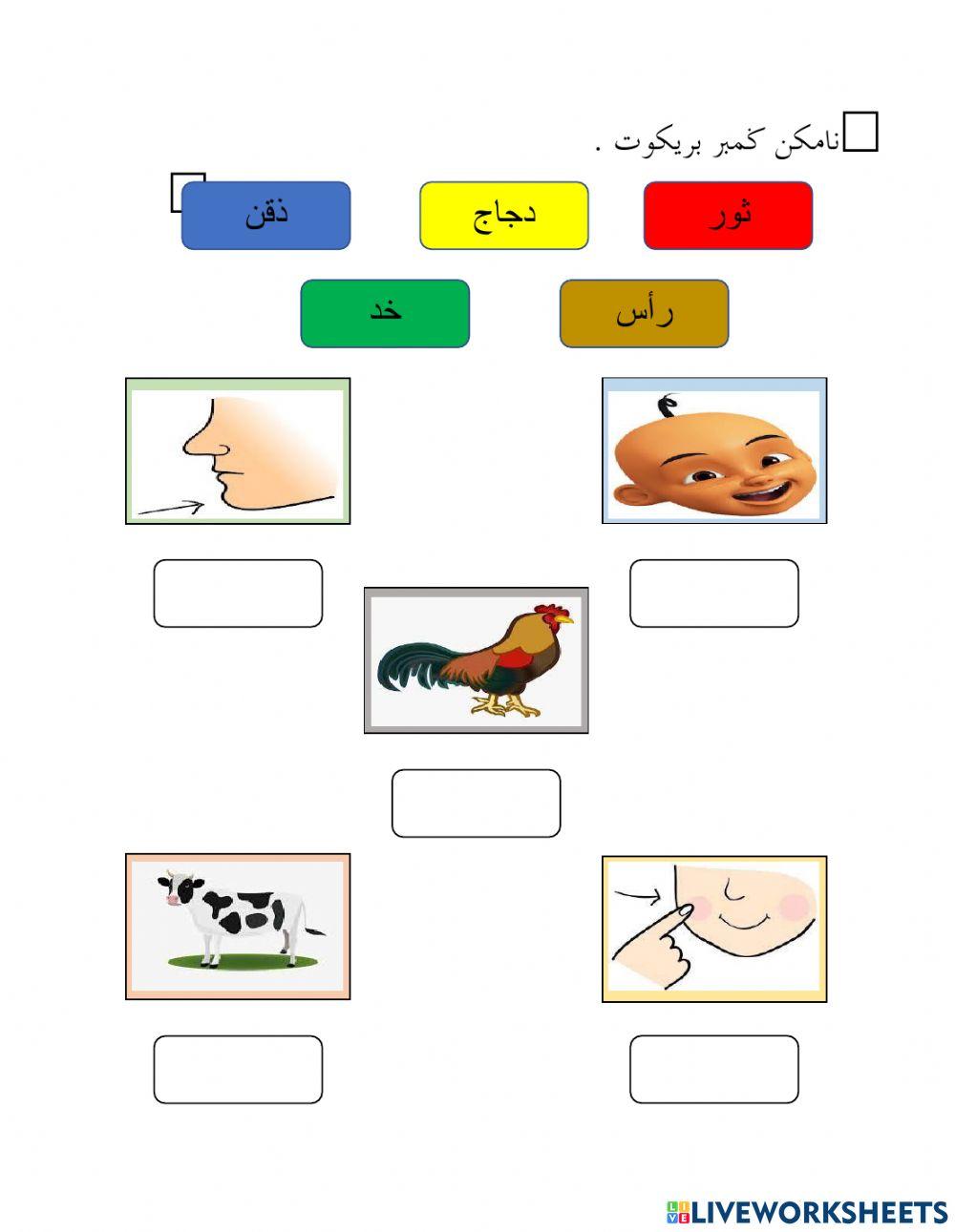 Bahasa Arab : huruf Ro