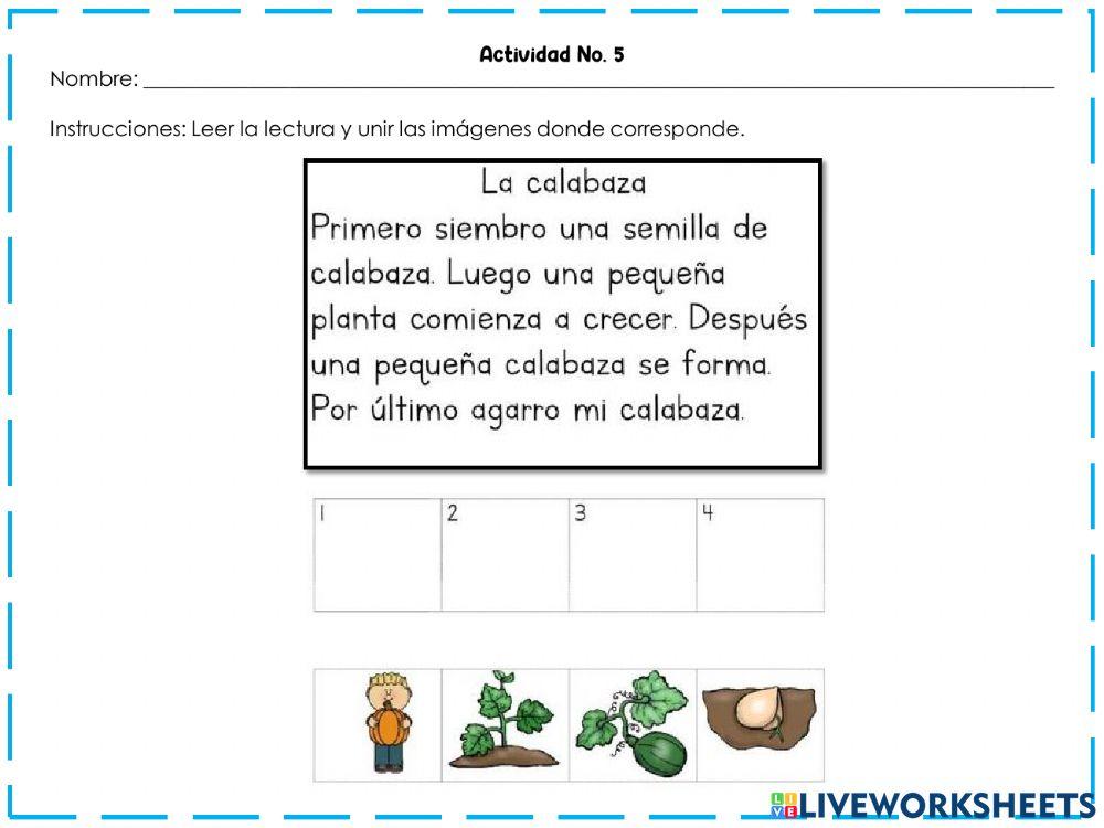 Comprensión crítica.