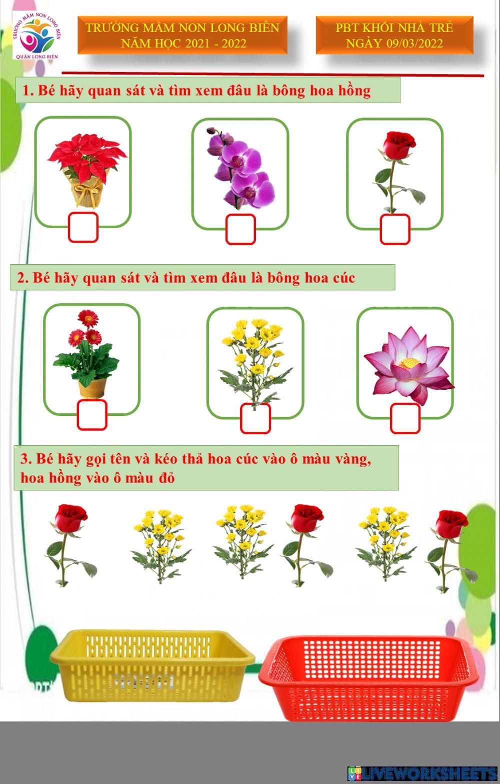 PBT lớp D3 ngày 09-03