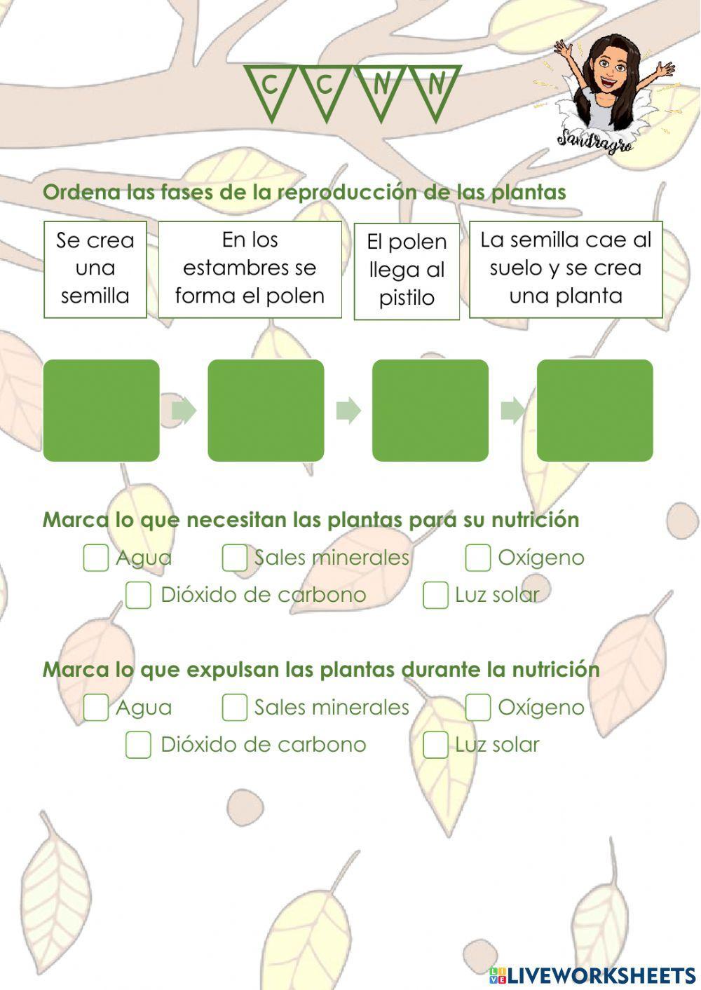 Nutrición y reproducción plantas