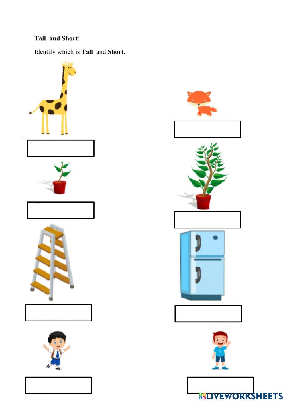 LIVE WORKSHEET P1 ( LONG and SHORT- TALL and SHORT online exercise for