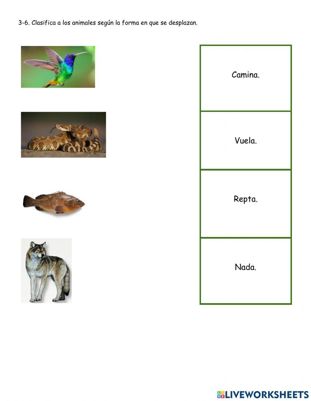 Examen conocimiento del medio