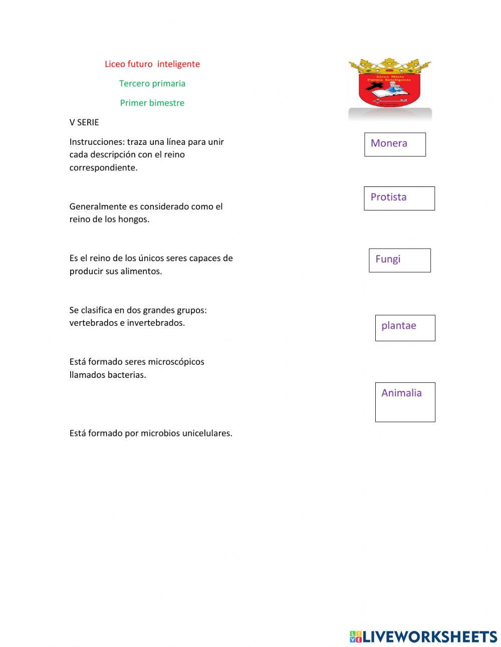 Clasificación de los reinos