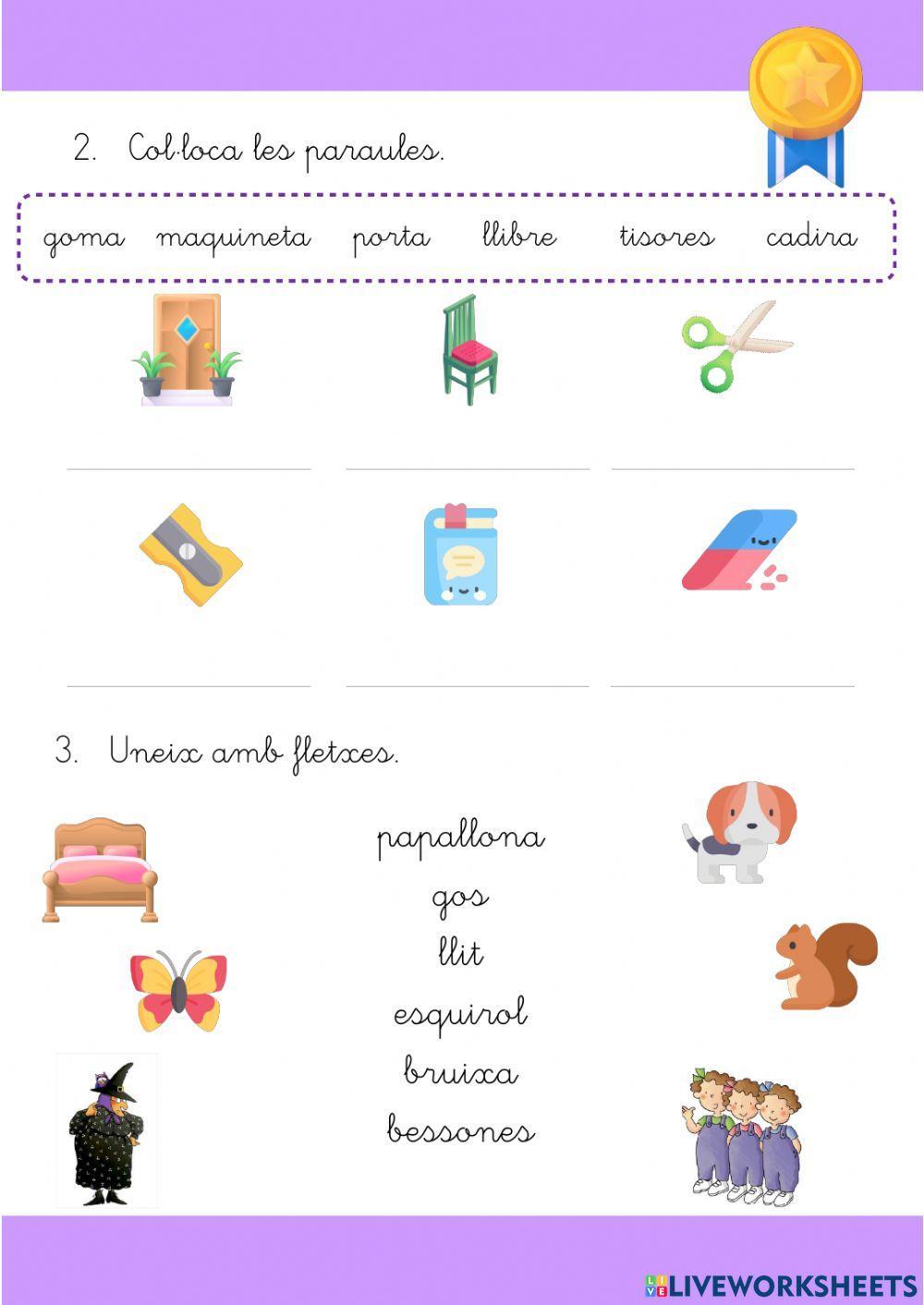 Vocabulari primer primària