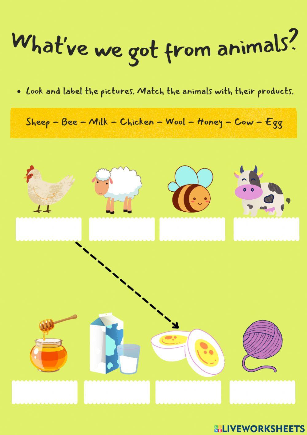 Matching Type free online worksheet | Live Worksheets