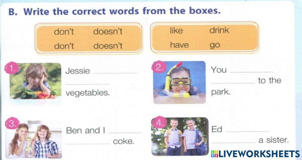 B: Write the correct words from the boxes.