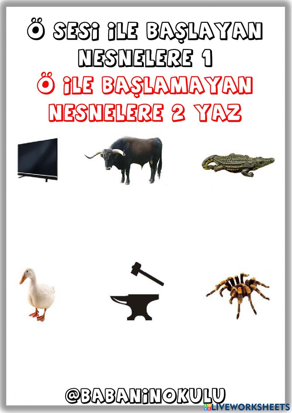 ŞUBAT-MART GENEL TEKRAR CUMA-2