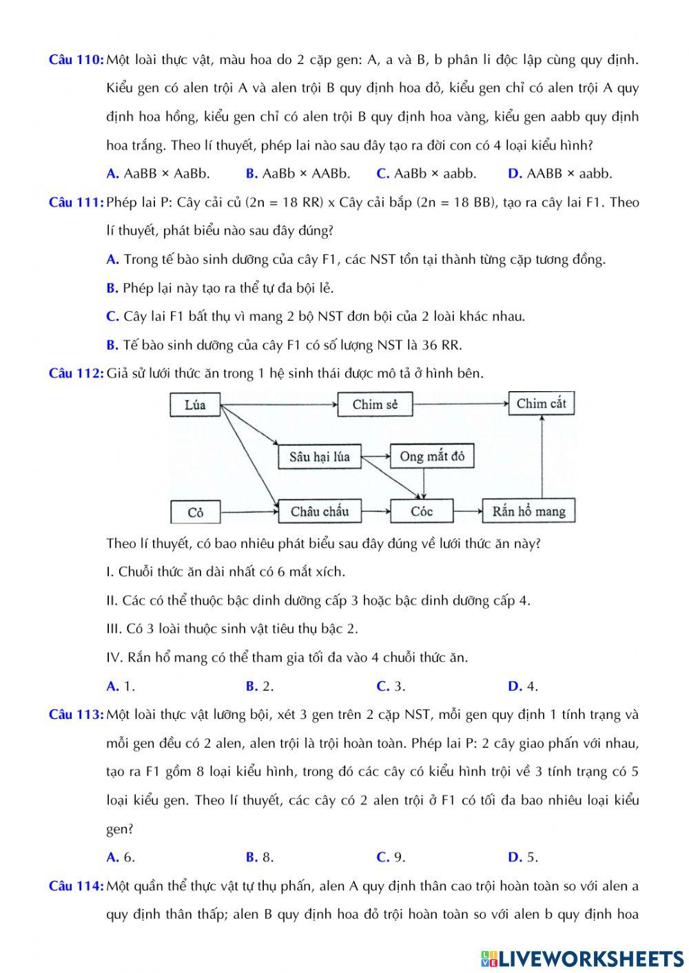 Đề tham khảo môn Sinh học 2022