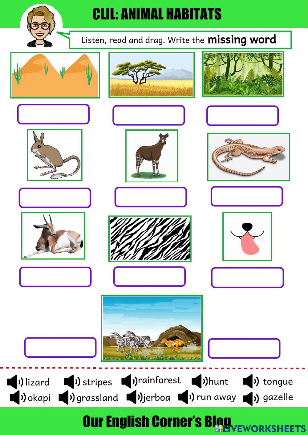 CLIL vocabulary habitats