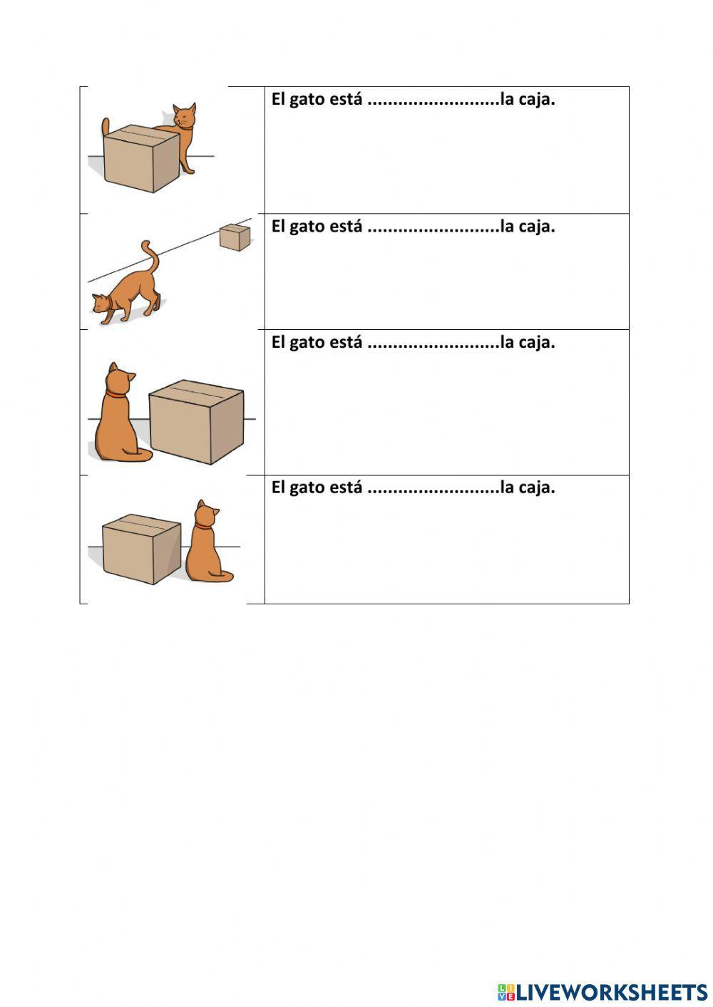 ¿Dónde está el gato?