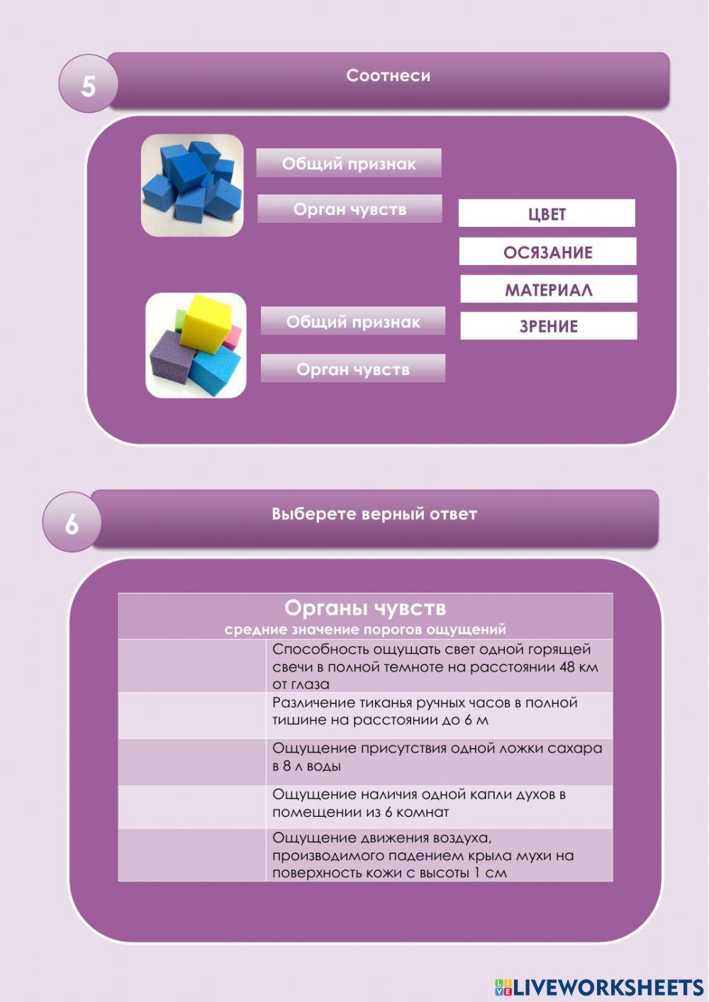 Органы чувств