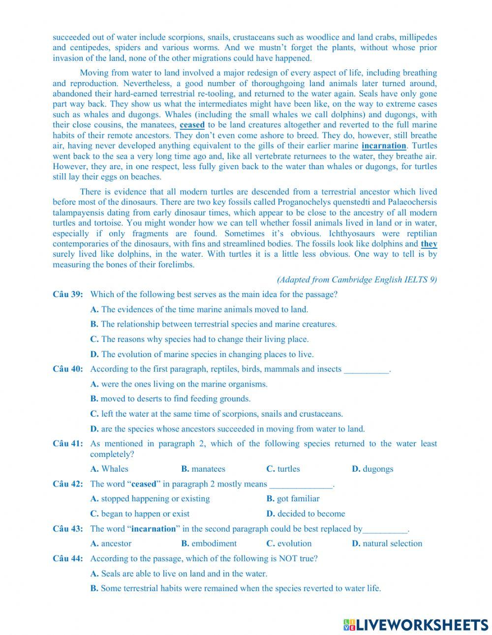 MSE-2022-Đề thi thử số 03