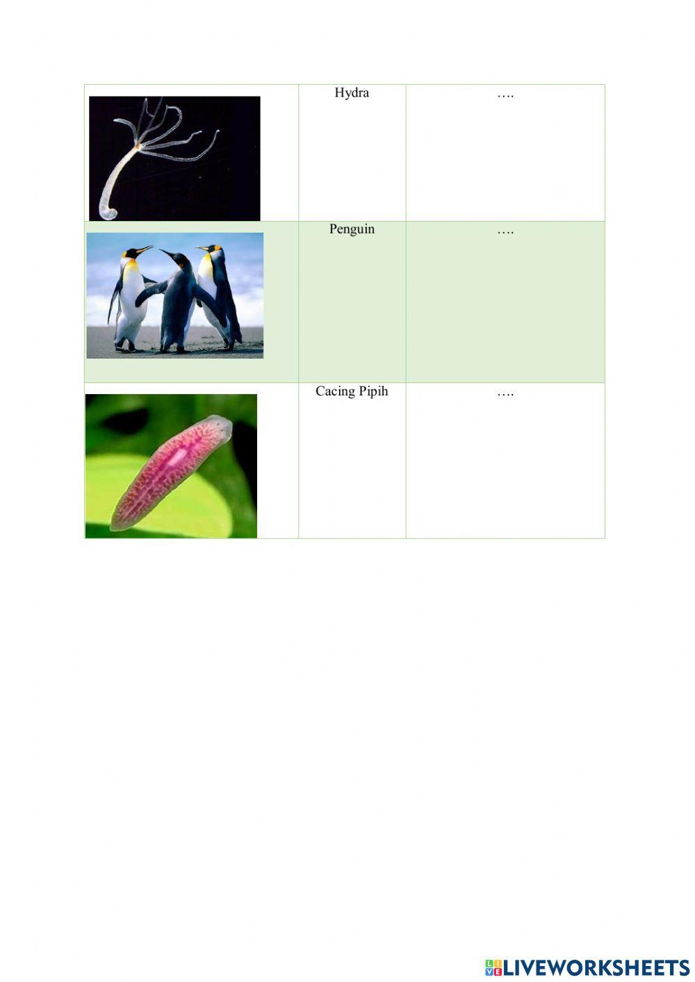 Klasifikasi hewan berdasarkan cara perkembangbiakannya