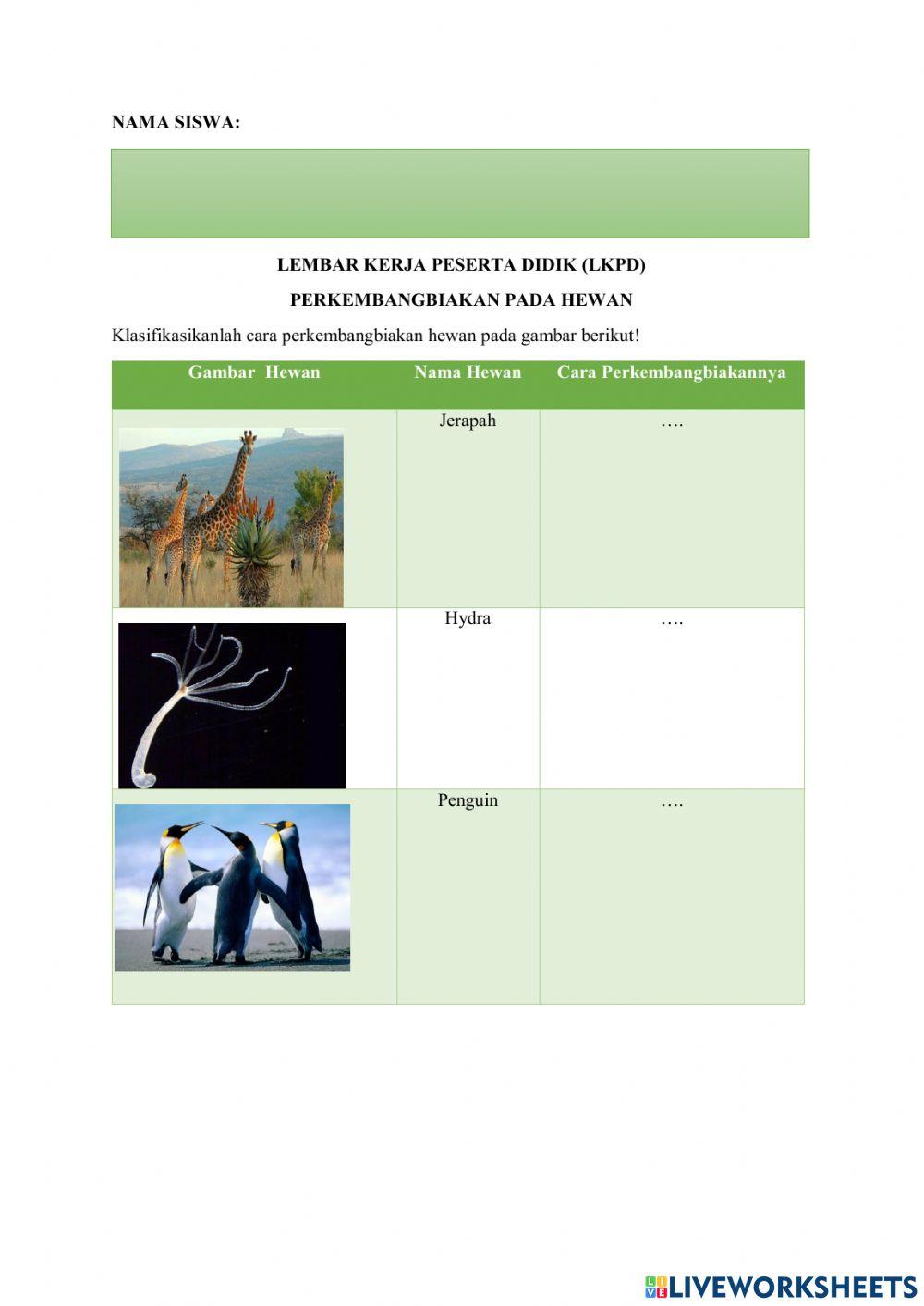 Klasifikasi hewan berdasarkan cara perkembangbiakannya