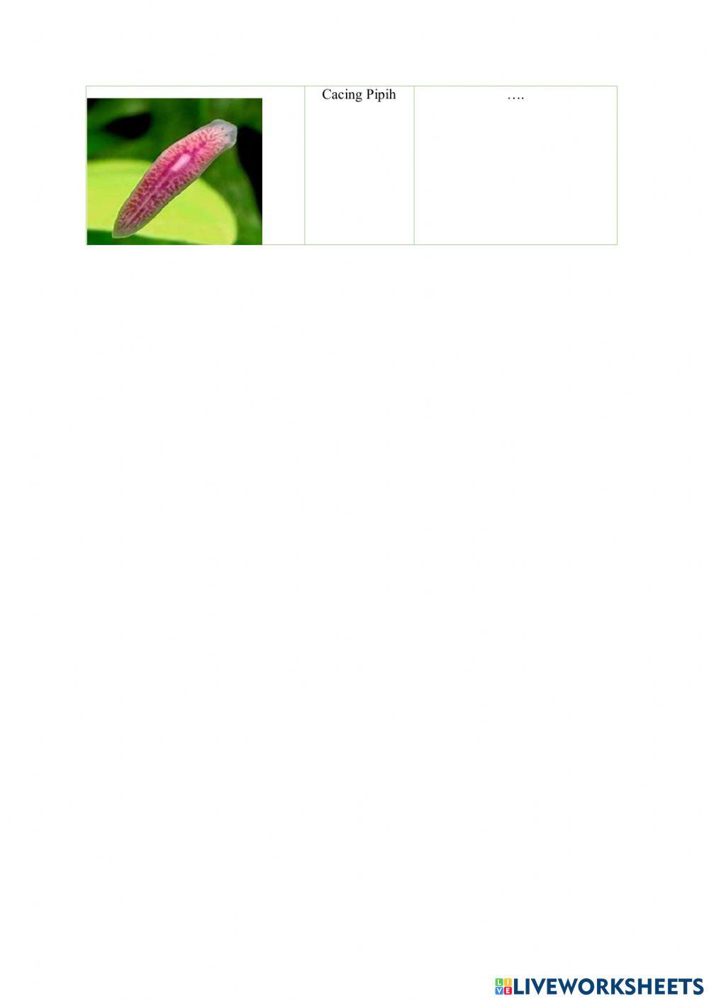 Klasifikasi hewan berdasarkan cara perkembangbiakannya