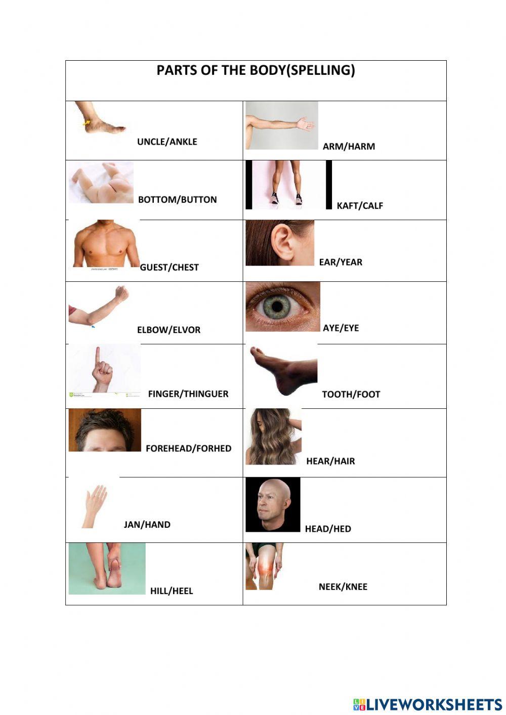 Parts of the Body-Spelling