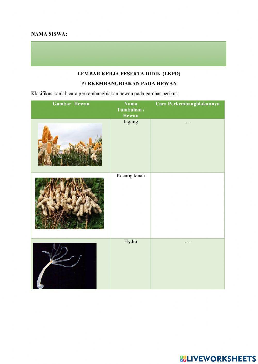 Perkembangbiakan secara generatif pada tumbuhan dan hewan