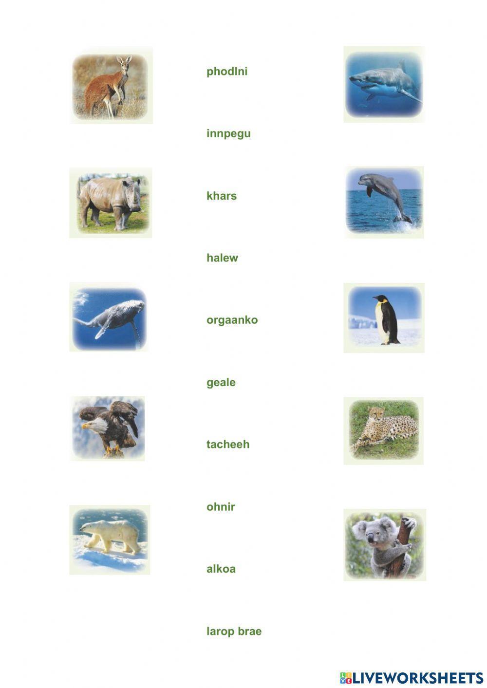 Form 5 animals unit 8