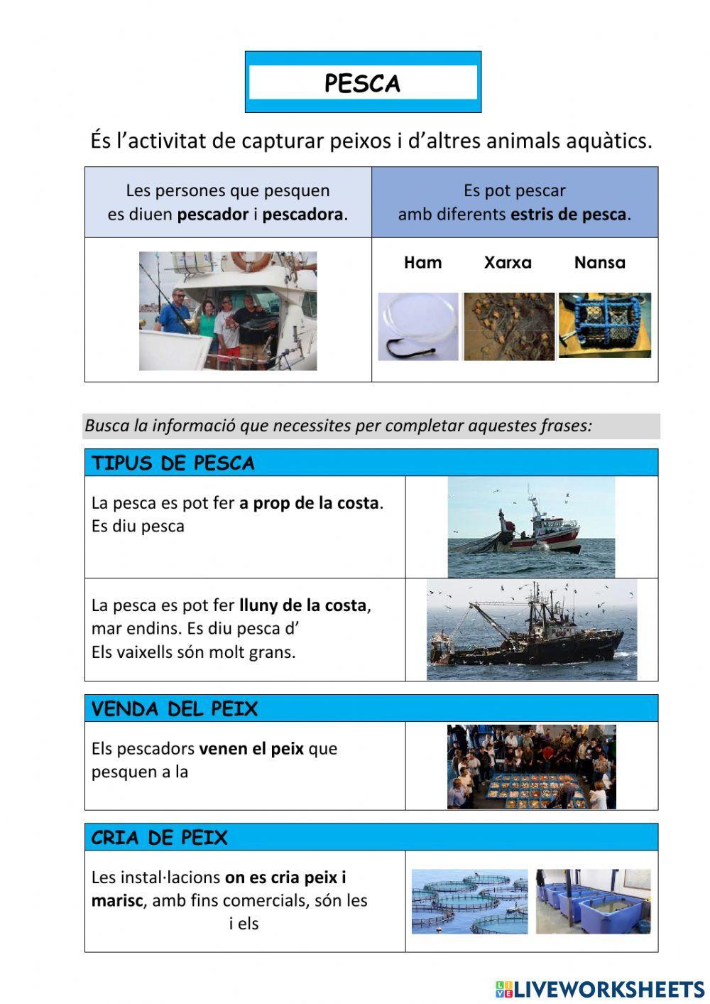 Els sectors de treball - 4