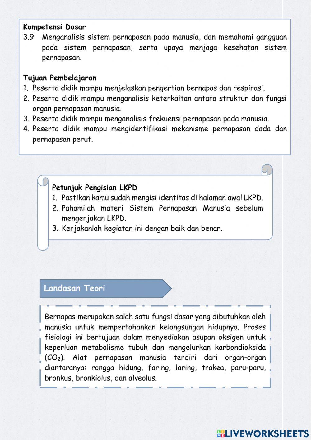 Sistem Pernapasan Manusia