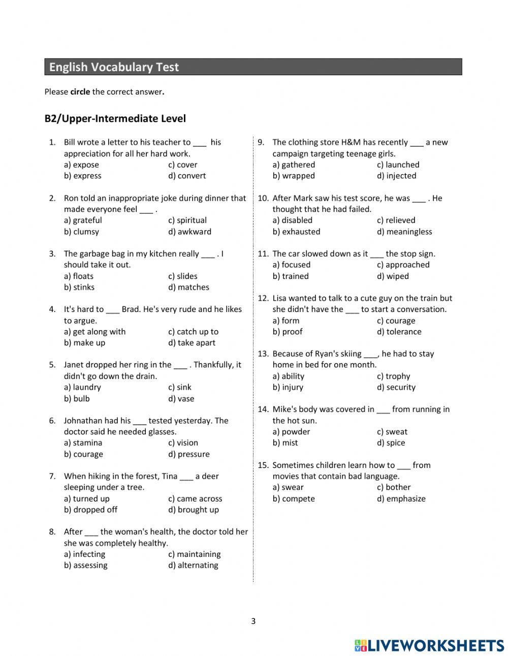 Vocabulary and Grammar test online exercise Live Worksheets