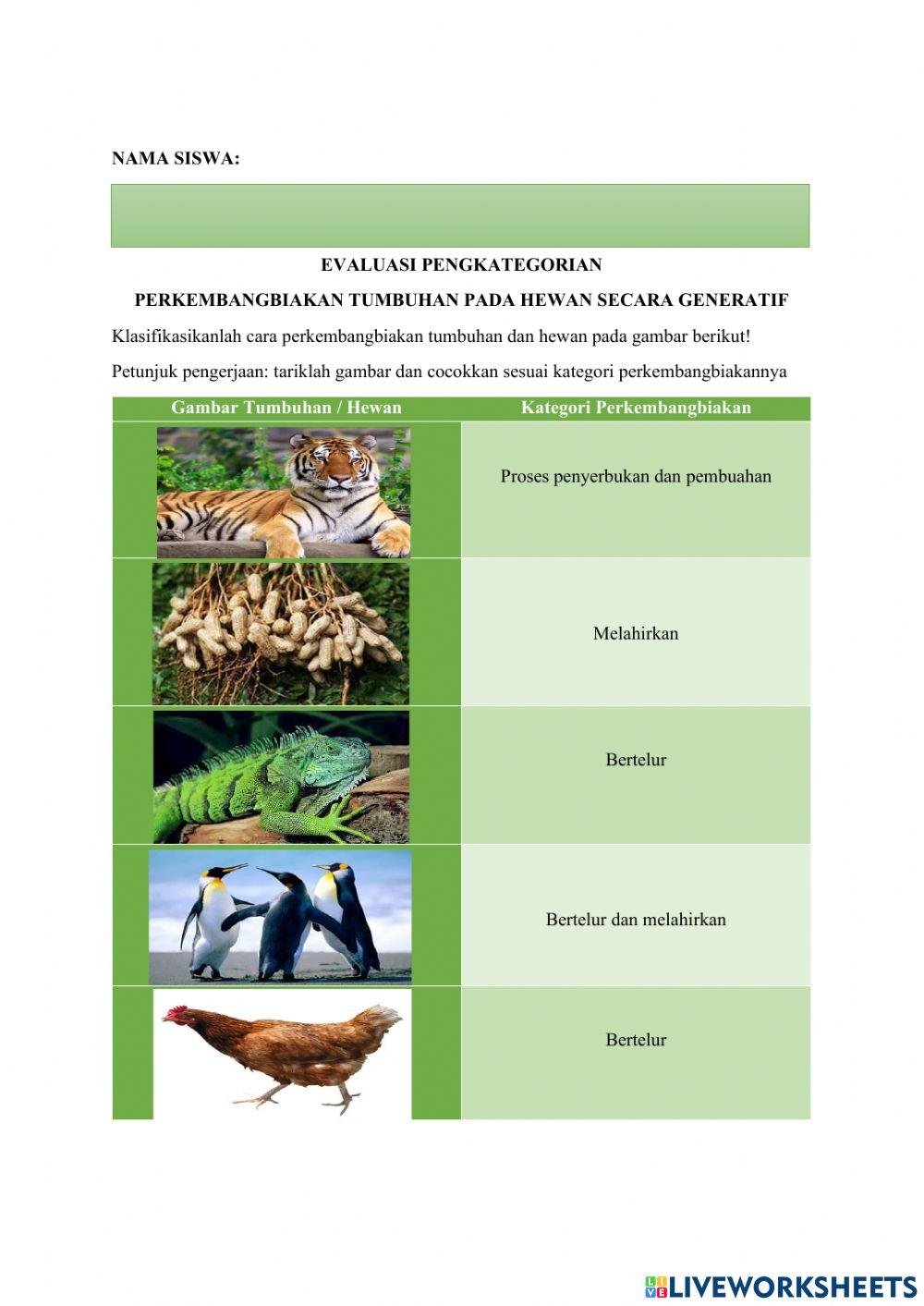 Klasifikasi hewan berdasarkan cara perkembangbiakannya