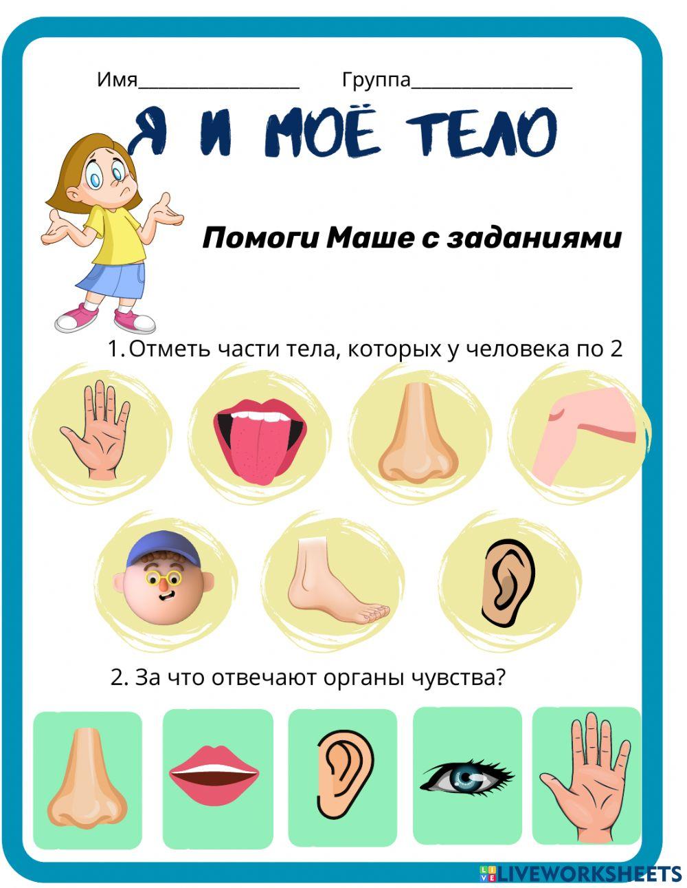 1992707 | Я и мое тело | Kildishova | LiveWorksheets