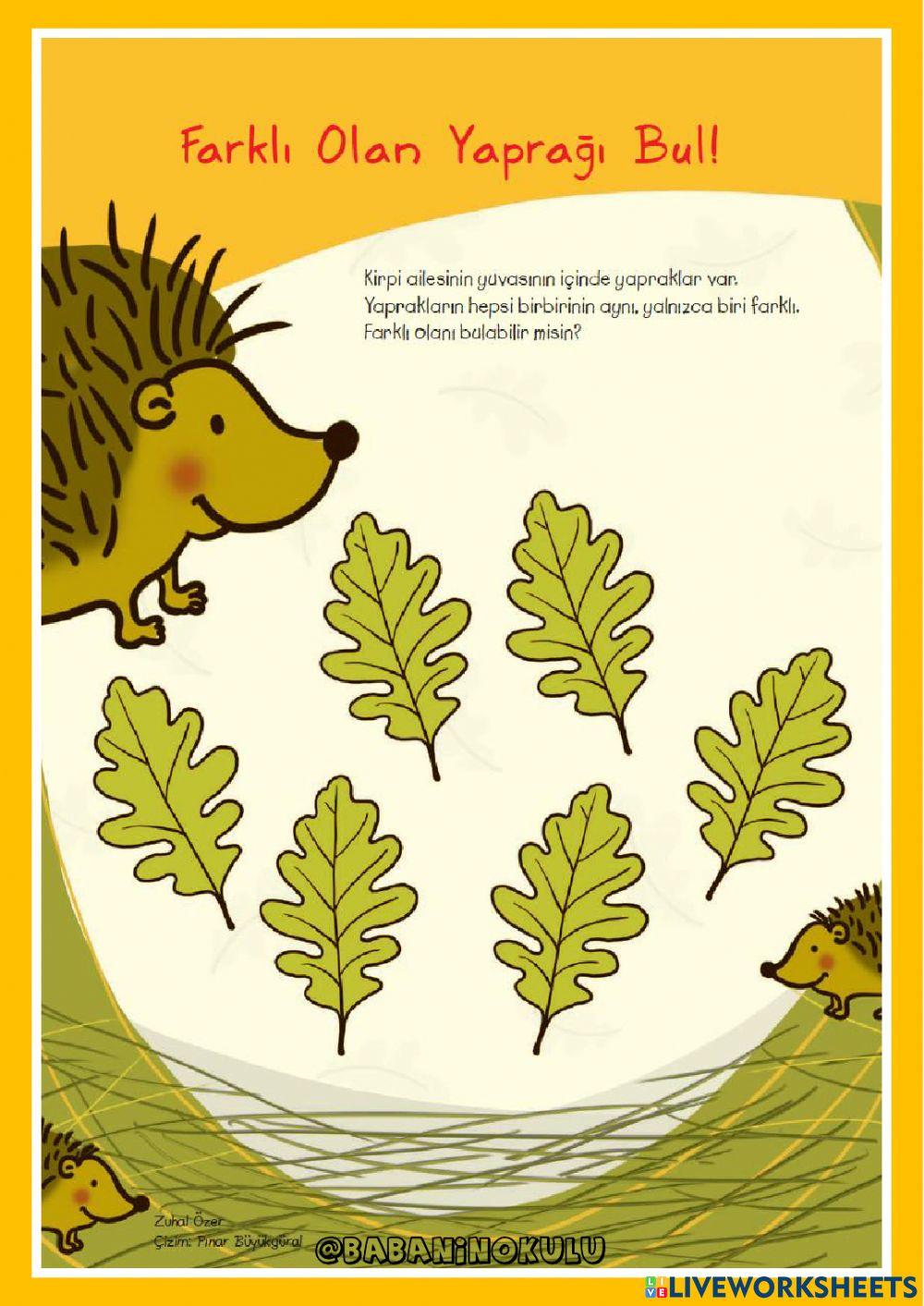 ŞUBAT-MART GENEL TEKRAR PAZARTESİ-1