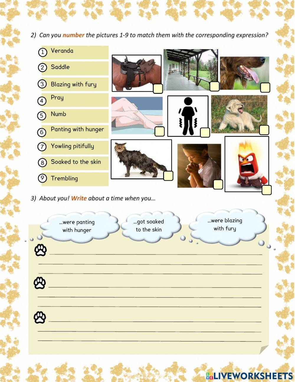 The butterfly lion - ch 6 (Vocabulary)