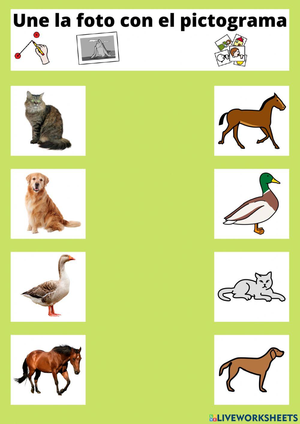 Une la foto con el pictograma