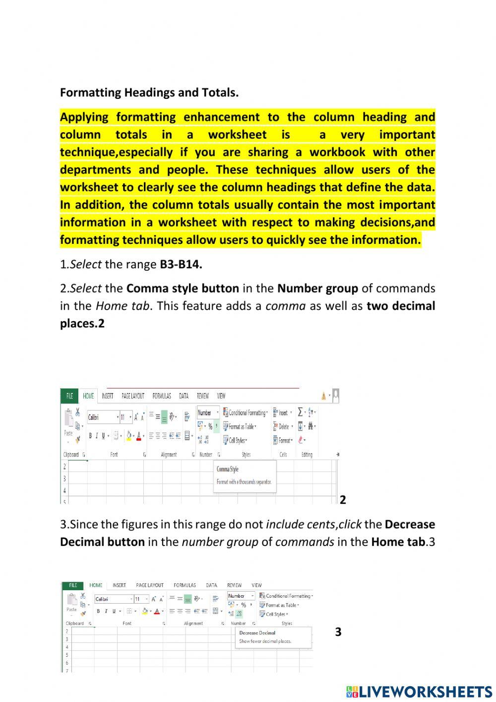 Lesson9 Formatting and Data Analysis worksheet | Live Worksheets