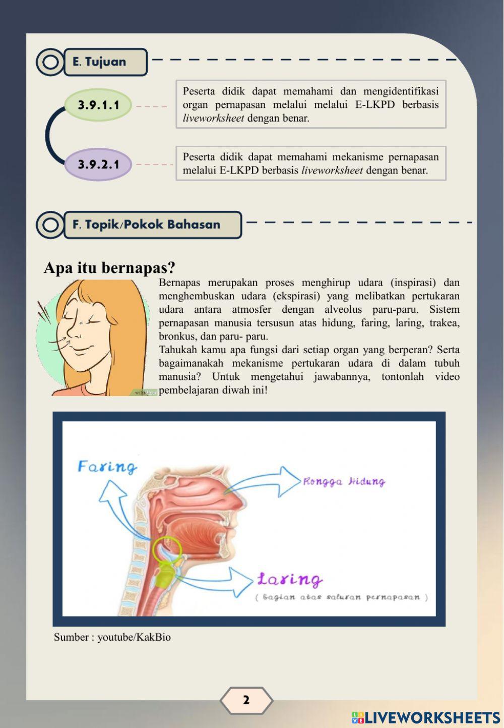 E-LKPD Berbasis Liveworksheet