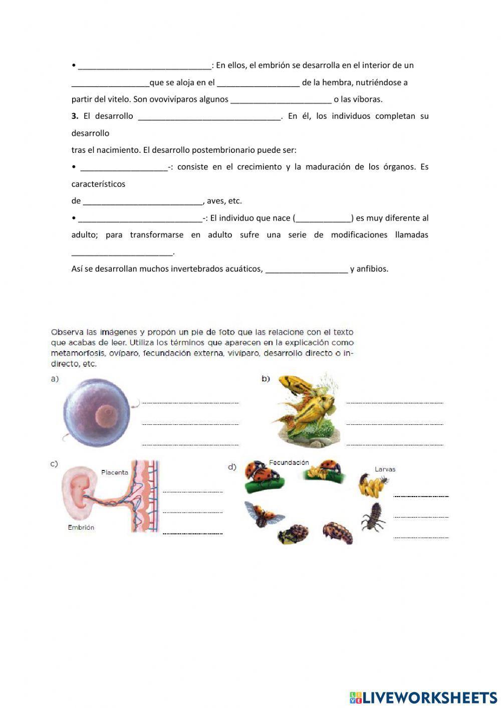 Reproducción animales