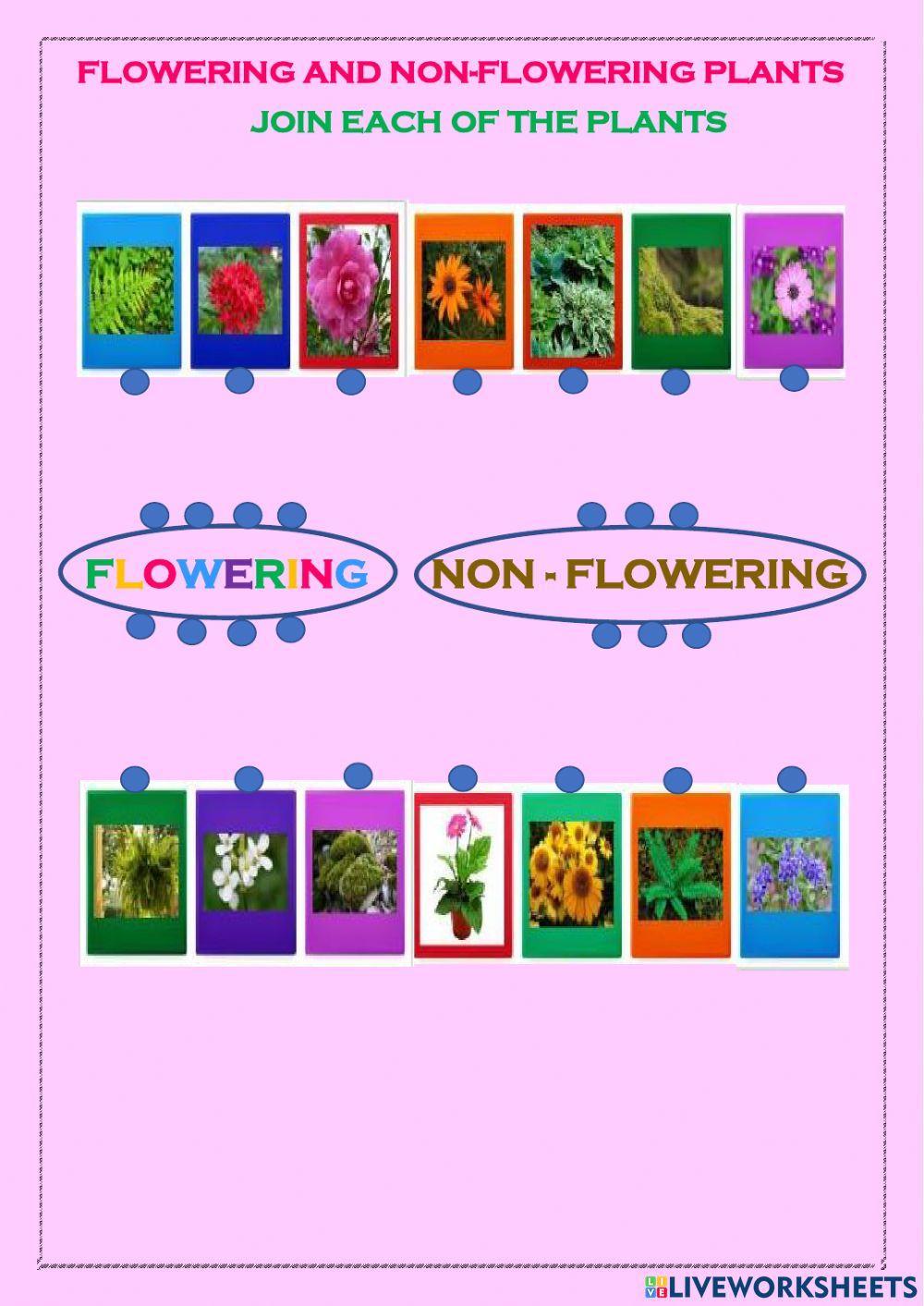 Flowering and n… | Free Interactive Worksheets | 1993446