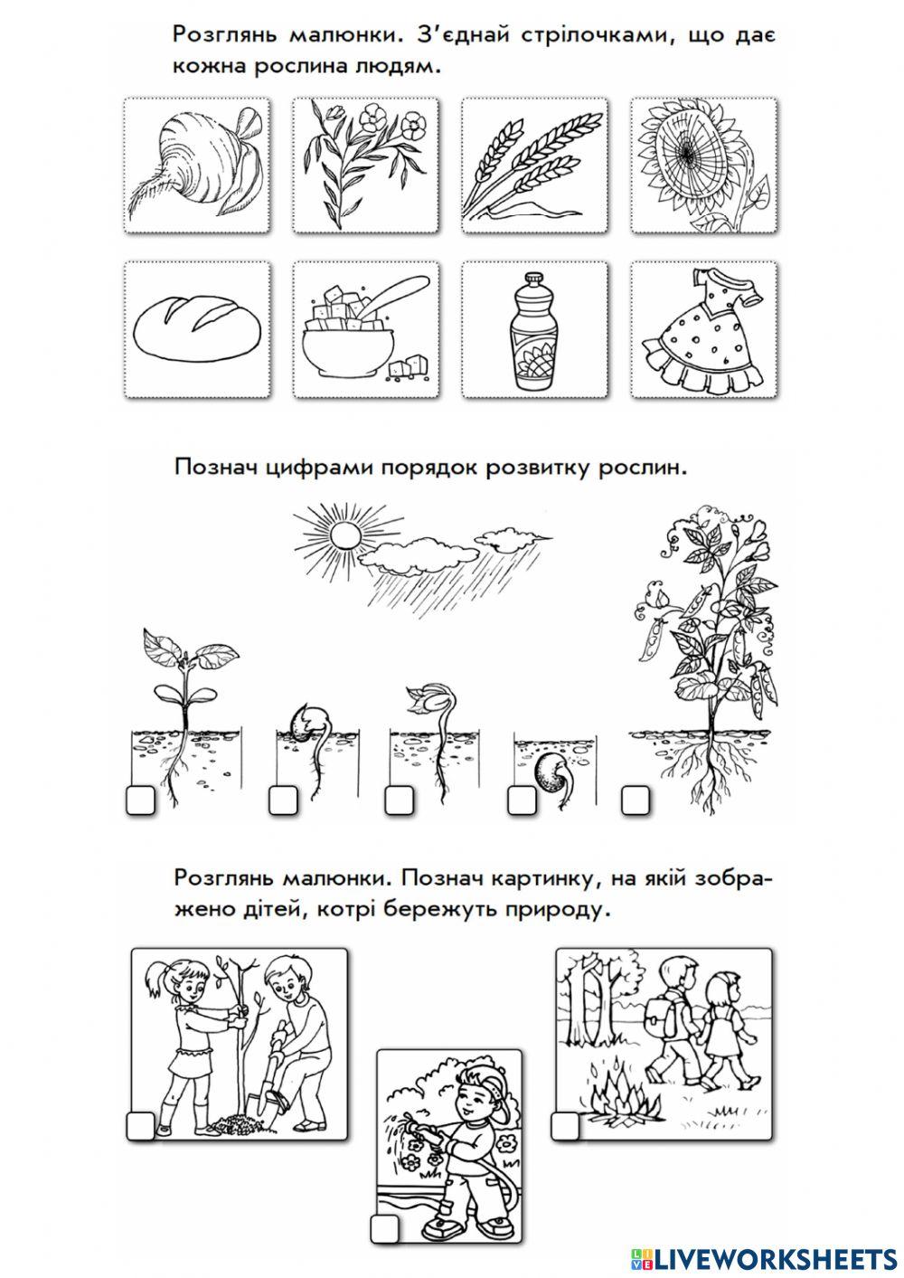 Світ рослин