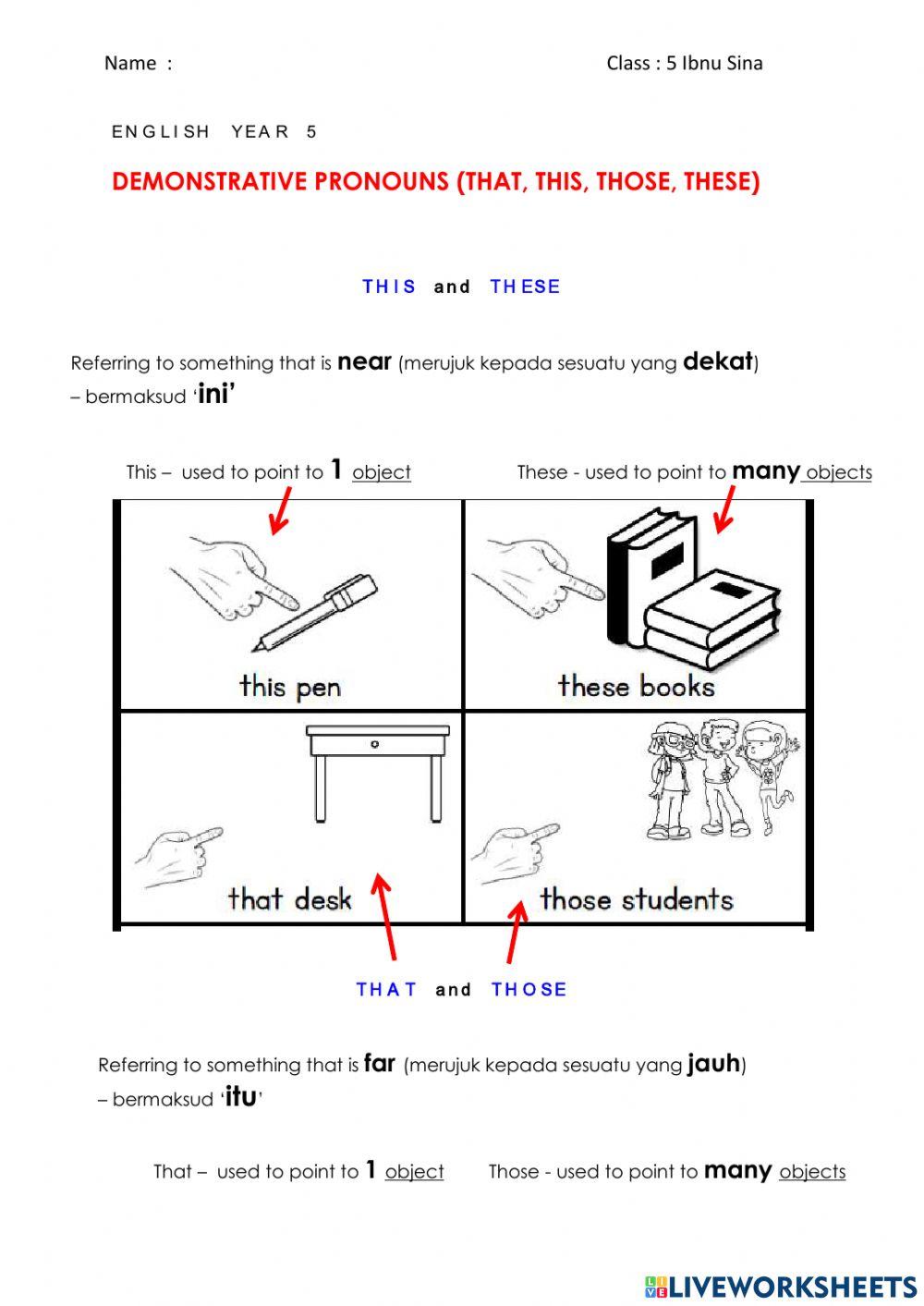 Demonstrative Pronouns
