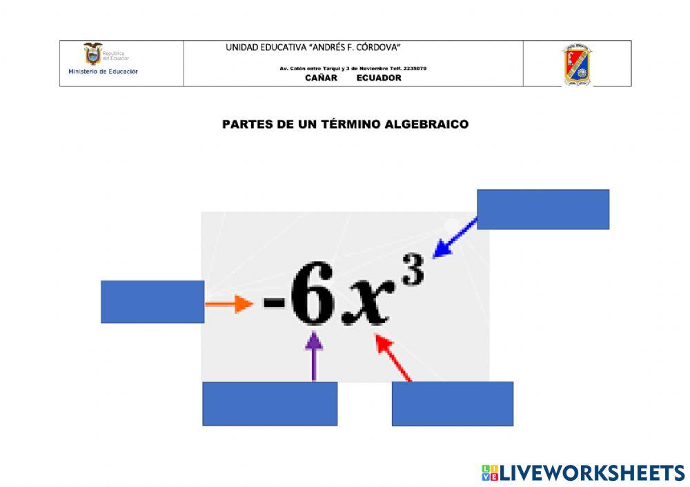 Partes de un Término Algebraico
